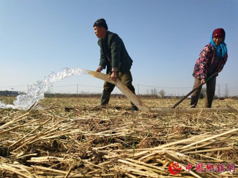 山东郯城：农民抗旱保苗