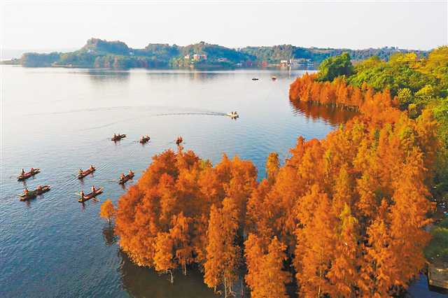 消落带变风景线