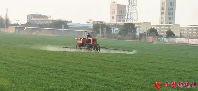 安徽埇桥区桃园镇：转作风 办实事 科学做好小麦