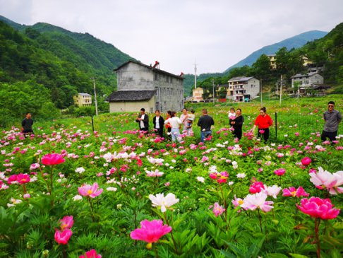 重庆城口：打好“安居乐业”牌 建好美丽新农村