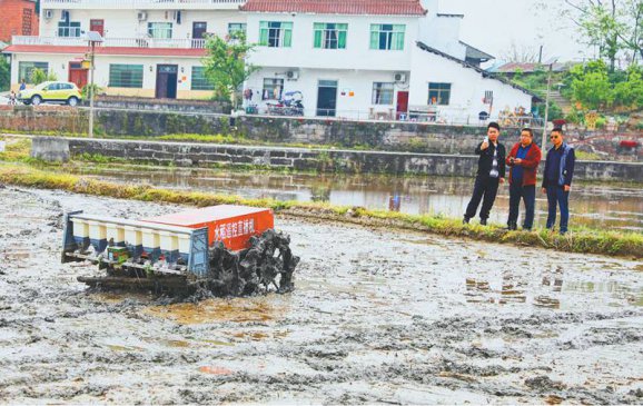 无人驾驶水稻直播机1小时可种10亩地