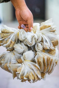 千稻争春