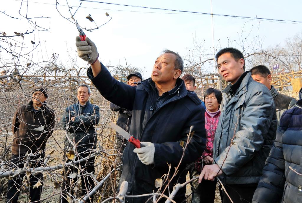 <b>太行山花烂漫时——走近李保国山区开发与林果产业创新团队</b>