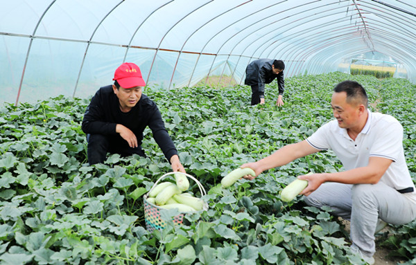 安徽阜阳：田间地头助农忙