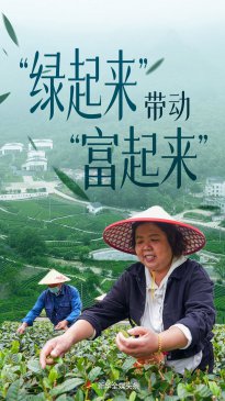 “绿起来”带动“富起来”——大别山区“两山