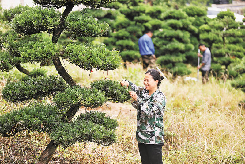 乡村振兴让农民获得感幸福感安全感更充实