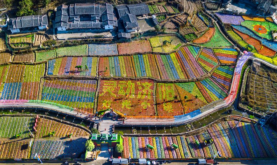 三明市大田县济阳乡济中村100多亩农业科技示范园，插秧彩绘成“灵动济阳”艺术字，种植的水果玉米、观赏瓜果等农作物，与附近的玻璃瑶台，凤阳土堡、民居古厝相映成趣，构成一幅乡愁留忆风景画。刘冬春摄