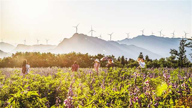 重庆南川：风电场美景如画