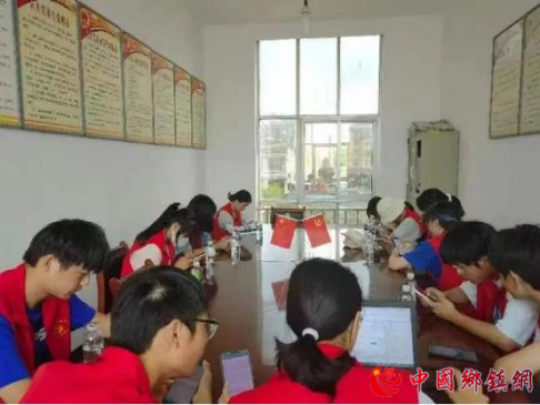 徽和县石杨镇：乡村振兴，大学生在行动