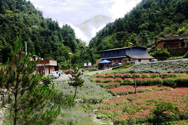 重庆：巫山摩天岭深藏花谷清凉醉客