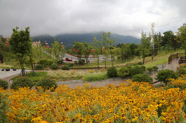 重庆：巫山摩天岭花谷成为挡不住的魅力诱惑旅