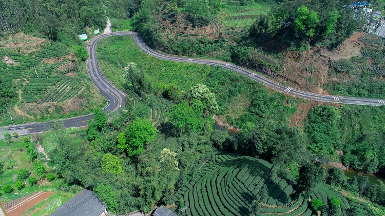 四川丹棱：“四好农村路”助力共同富裕新跨越