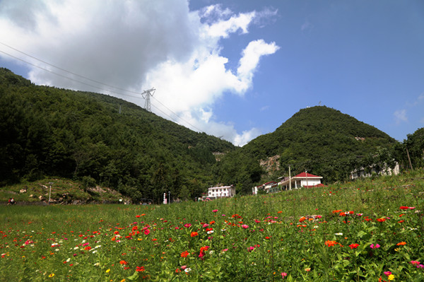 <strong>重庆：巫山骡坪大垭“云中花谷”美景醉客农家</strong>