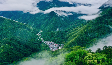共绘美丽中国新画卷