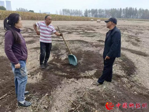 安徽埇桥区桃园镇：技术指导进田间  秋耕秋种送