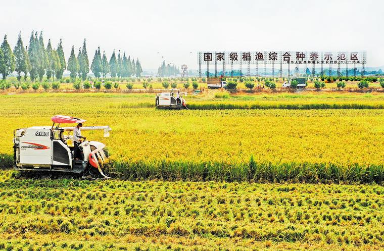 成都加快建设全国现代种业高地