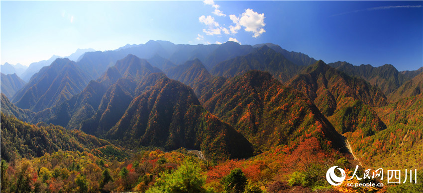 拈花一笑万山红。王开晋摄