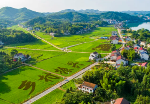 乡村旅游应破解千村一面