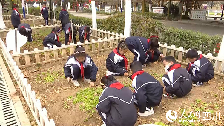 广元利州：别具风格的“开学第一课”