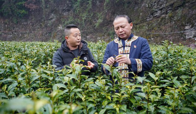 龙献文：奋战在乡村振兴一线