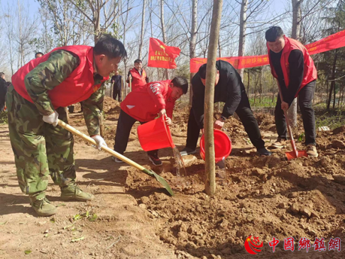 安徽亳州：积极开展植树添绿正当时