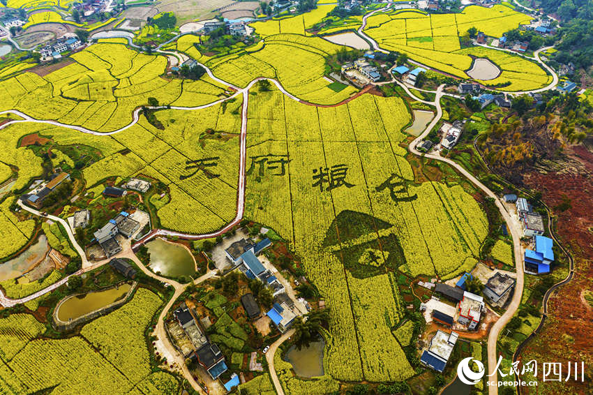 泸县白和镇风景。张如翠摄