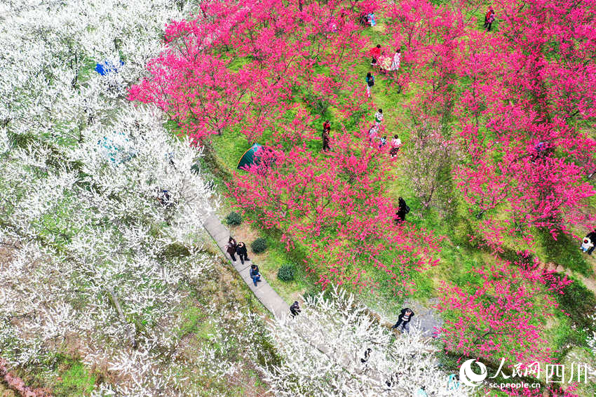 榕山桃李芬芳，乡村美景如画。李贵平摄