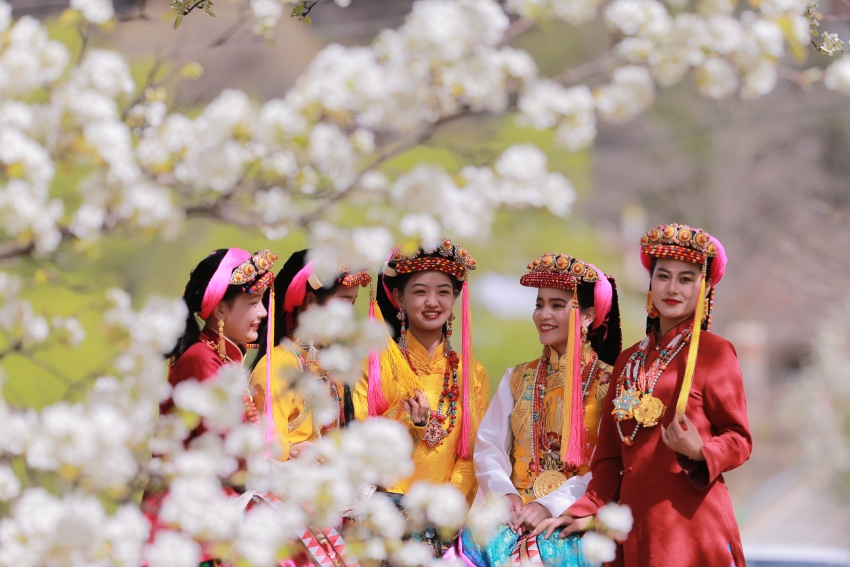 以花为媒撬动赏花经济 四川丹巴旅游回暖