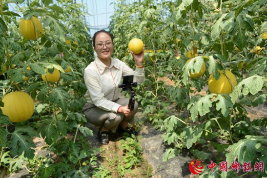 河南内黄直播达人助农增收