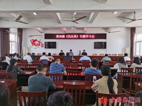 安徽定远县桑涧镇：召开《民法典》专题学习会