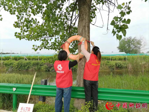 安徽阜阳：枣庄镇抓好常态化防溺水工作