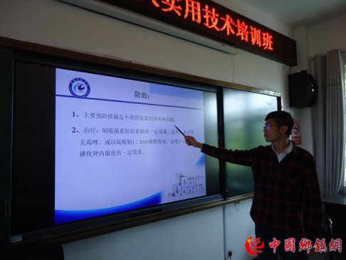 安徽凤阳县大庙镇举办残疾人实用技术培训班