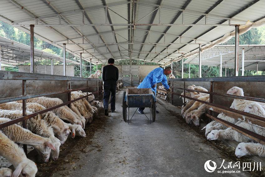 当地残疾人在湖羊谷学习养殖技术。人民网 彭茜摄
