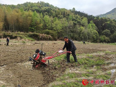 <strong>安徽石台仁里：广种地肤子 探索振兴路</strong>