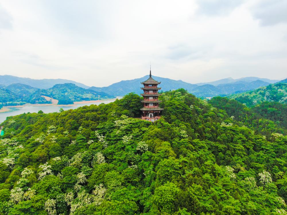 酒仙湖景区双子塔。湖南酒仙湖生态旅游开发有限公司供图