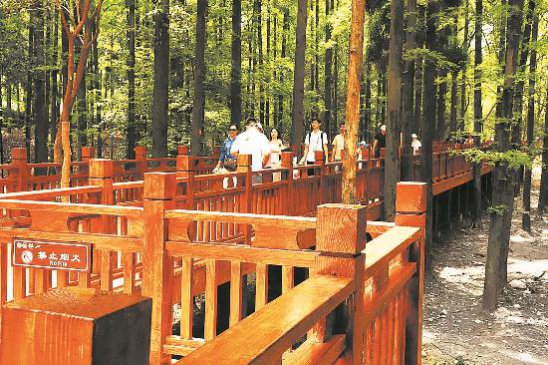 金刚堤栈道启用 都江堰景区新添“绿野仙踪”秘