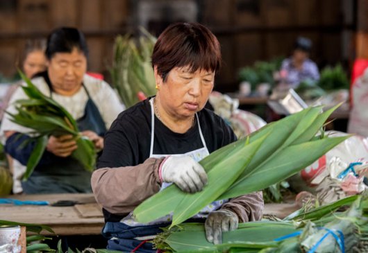 <b>浙江金华：箬叶采收迎旺季</b>