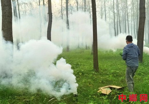 河南淮滨：燃放“林用烟剂”防治杨树等食叶害虫