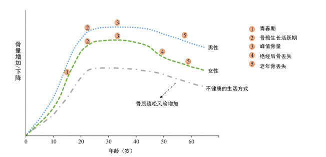 年纪轻轻，骨头先老？预防骨质疏松症从早做起