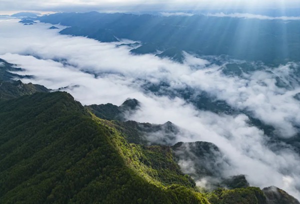 高山风光。万州区委宣传部供图