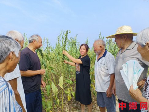 农技知识送到田间地头