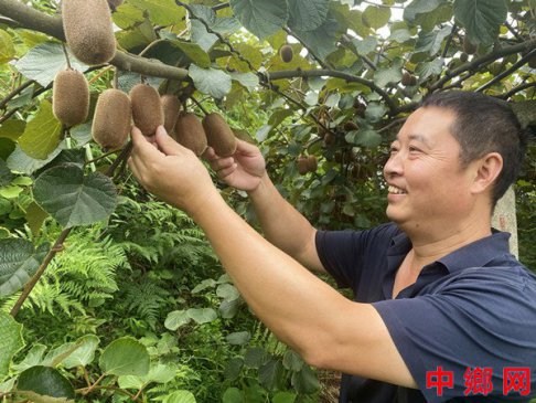 重庆涪陵：丰收时节乡村美