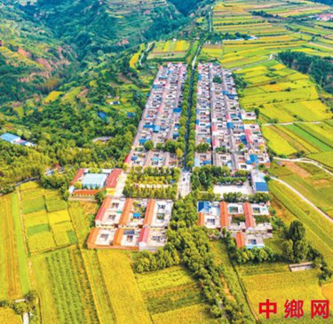 守好种好“饭碗田”,各地用了这些硬招实招