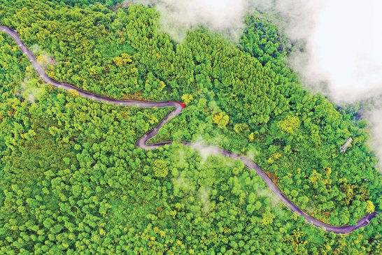 重庆万盛：云端公路美乡村