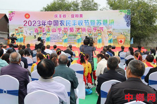 安徽明光市苏巷镇举办首届抹山乐葡萄采摘音乐