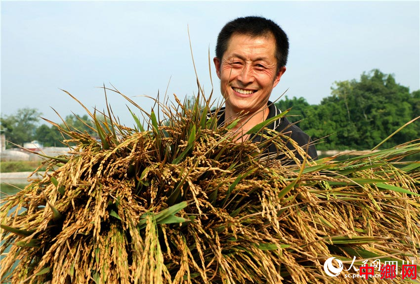 粮食在手，安全常有。潘建勇摄