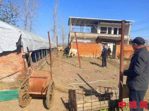 河南淮滨：民警助村民寻找两头跑失的牛犊