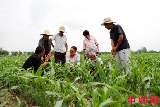 <b>科技特派员田间助农</b>