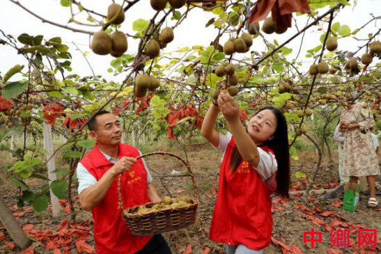 安徽阜阳：爱心助农促增收