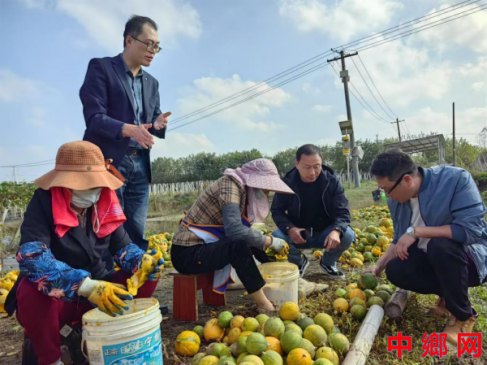 驻村帮扶实干显担当，乡村振兴致富见真章